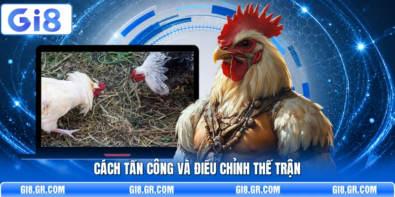 Giống Gà Đá Mạnh GI8 - Phân Tích Dòng Gà Chuẩn Nhất Cách tấn công và điều chỉnh thế trận